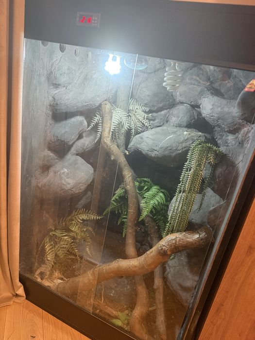 Terrarium dla agamy blotnej ,legwana