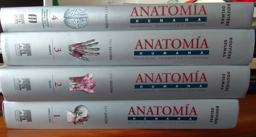 Livros Anatomia Humana - Rouviere - NOVOS