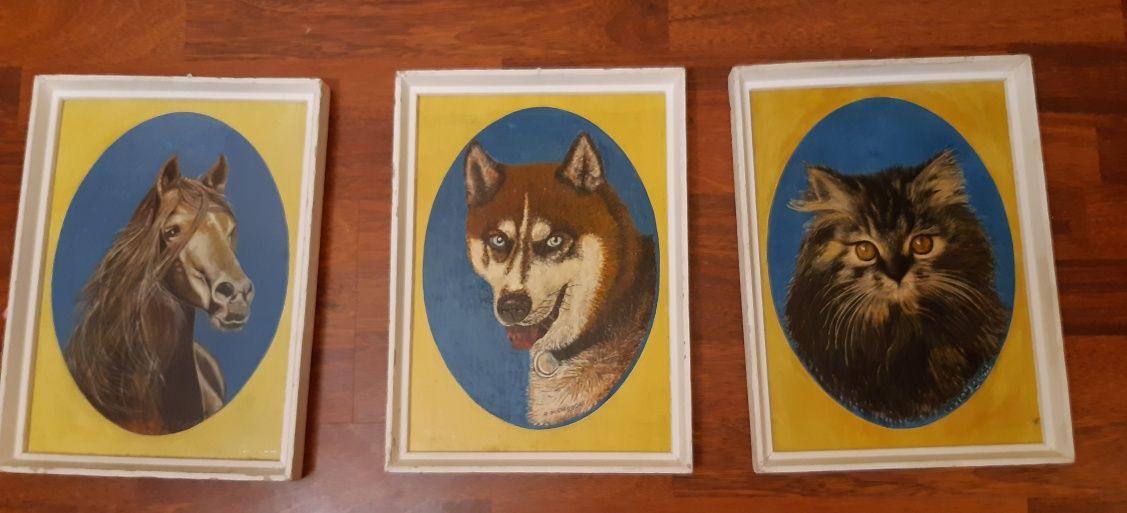 Obrazy olejne na drewnie - zwierzęta: koń kot wilk. Seria 3 - obrazów