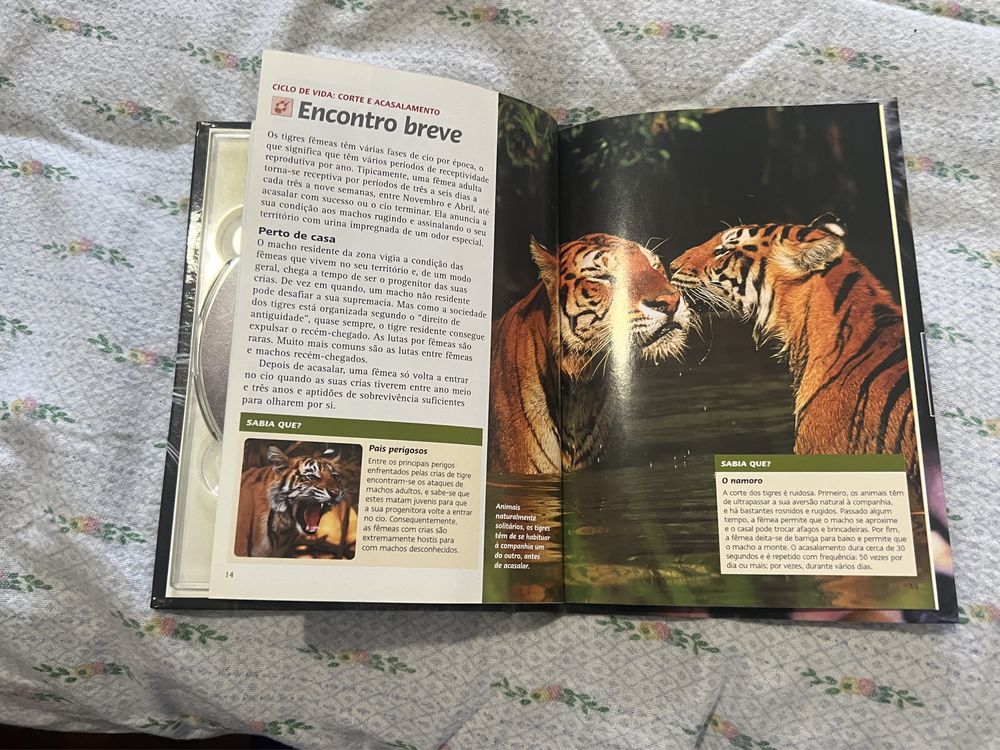 DVD em Livro Tigre dos Pântanos