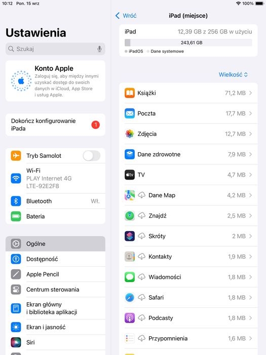 iPad Mini 5 w kolorze Space Gray - pamięć 256 GB, moduł Wi-Fi