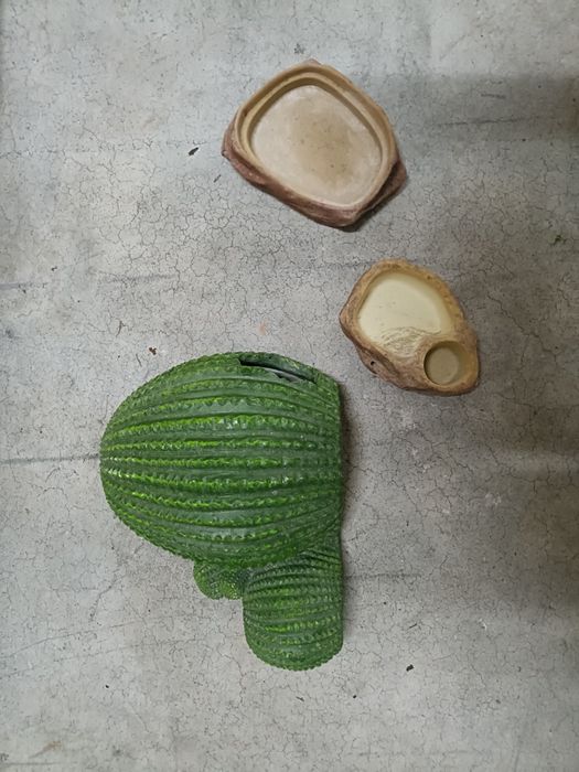 Conjunto de acessórios para terrário