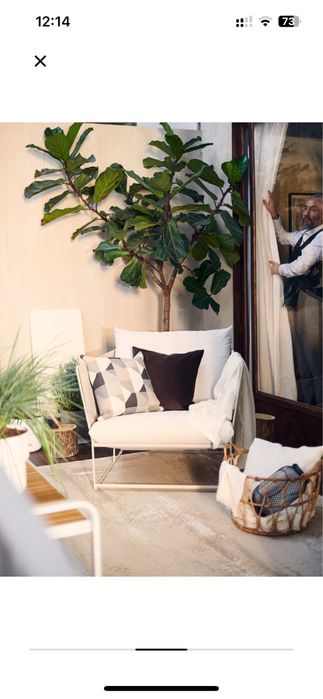 Fotel Ikea Havsten bez poduch