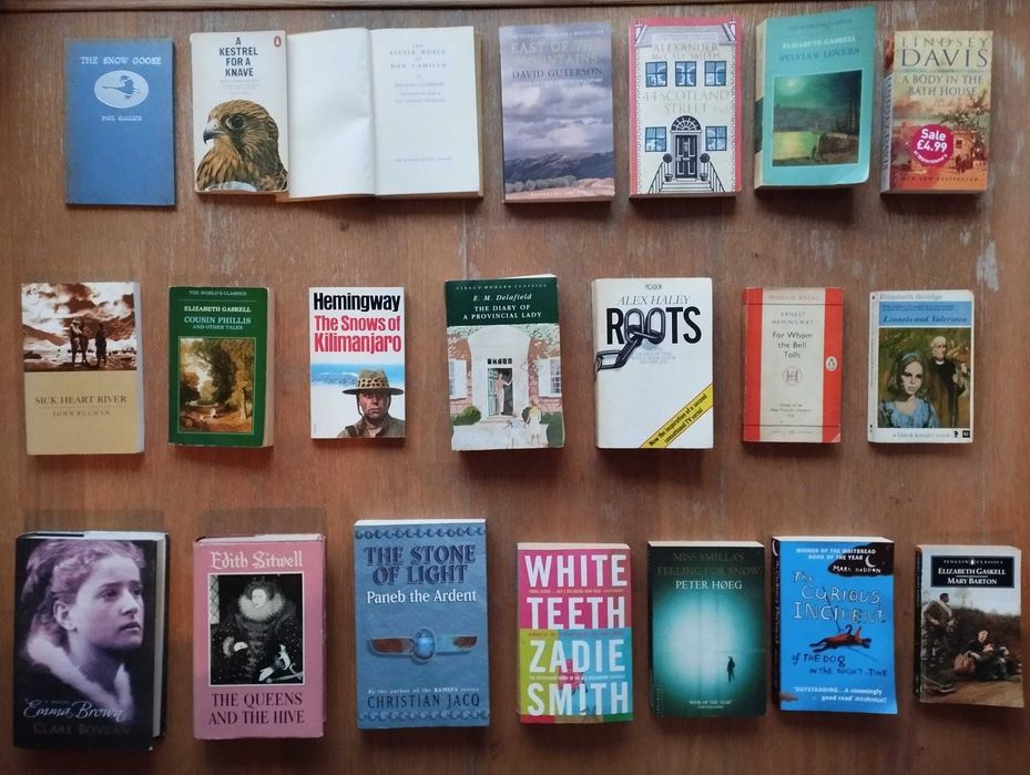 Coleção de livros em inglês
