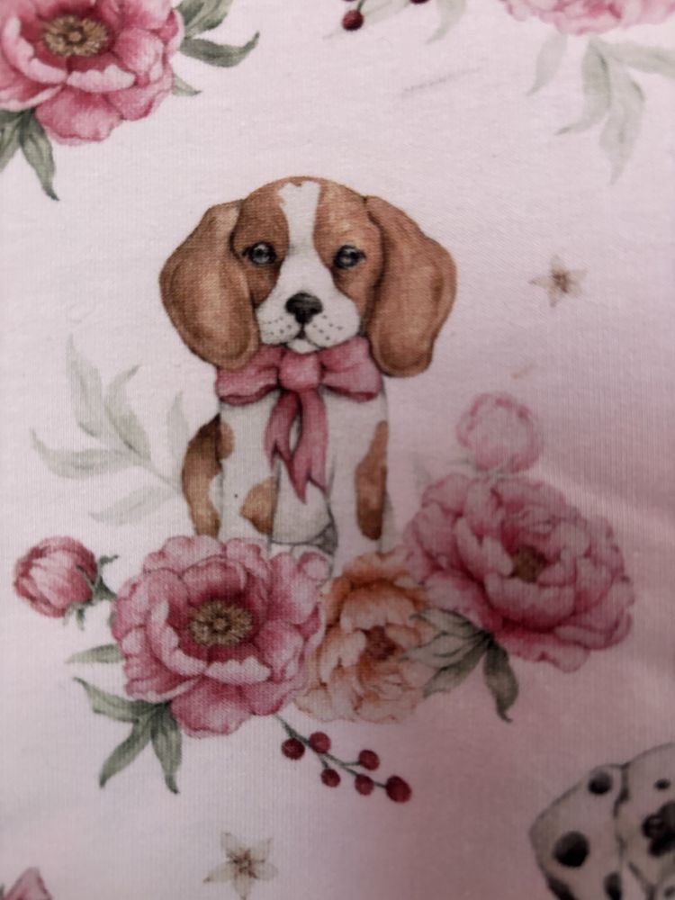Piękna bluza dla dziewczynki Haydi r.116