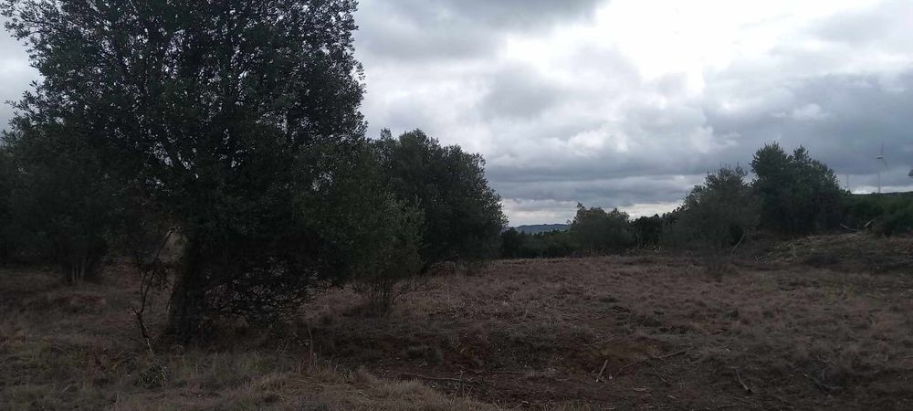 Quinta em alenquer cabecos