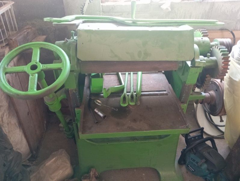 Grubościówka zielona