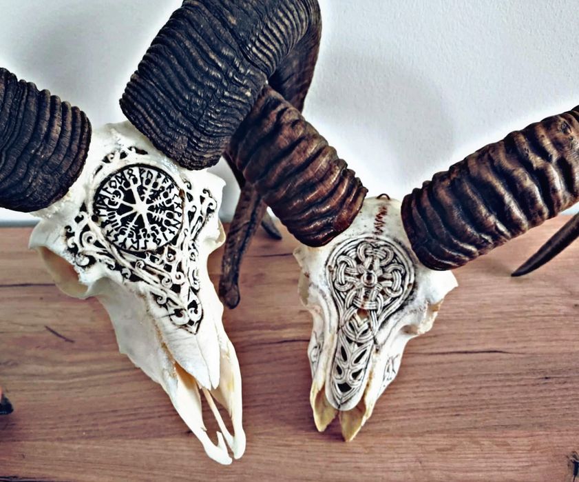Rzeźbione poroże muflona handmade