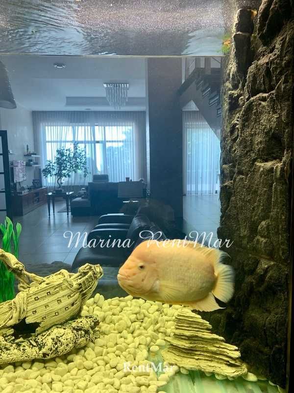 VIP VILLA 24 сотки Бассейн Прямой вид на море Совиньон 1
