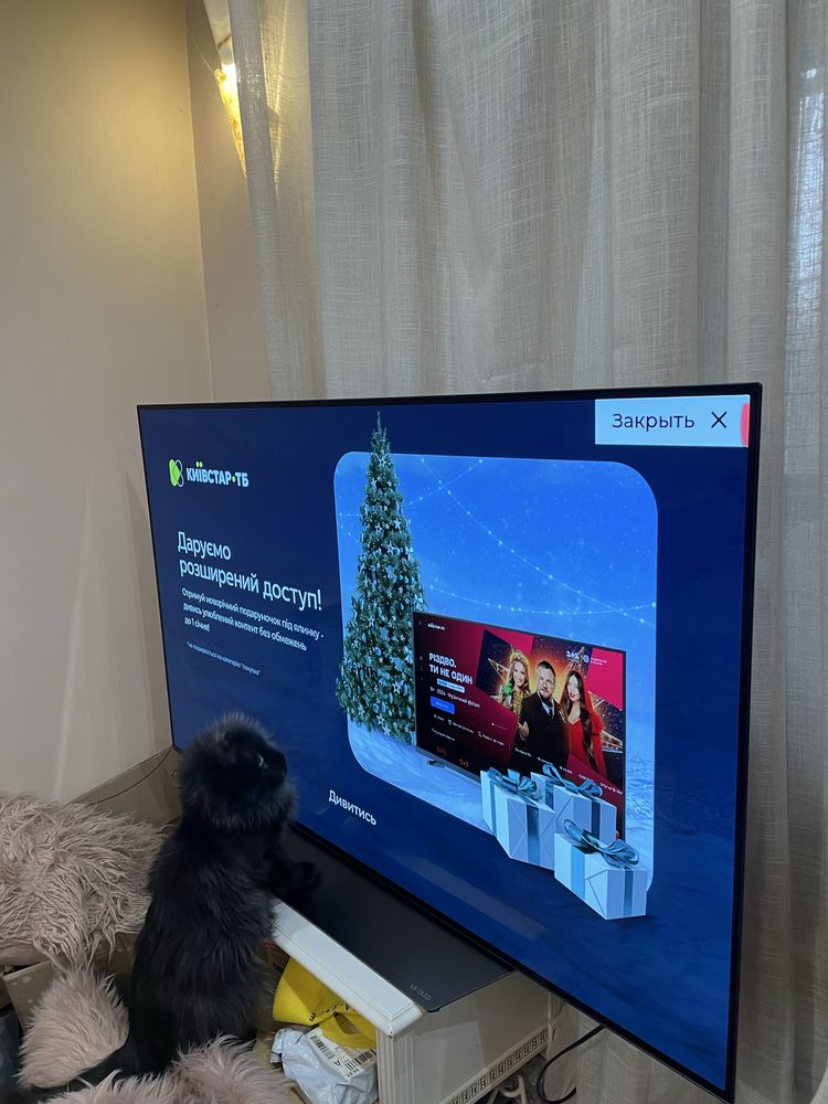 Телевизор LG OLED55B8