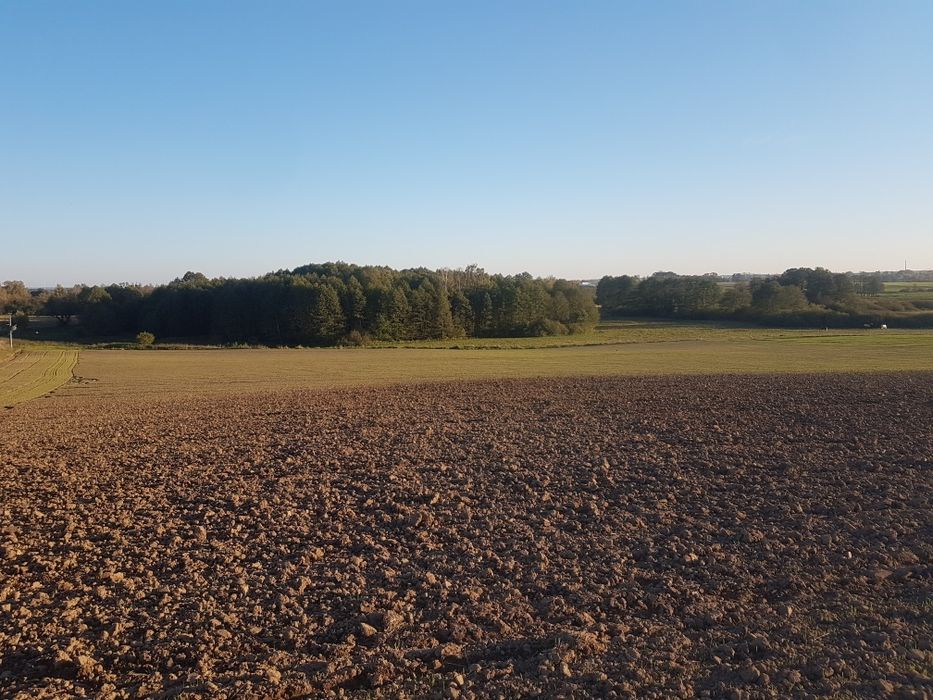 Działka siedliskowa