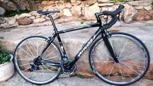 Specialized Roubaix t52