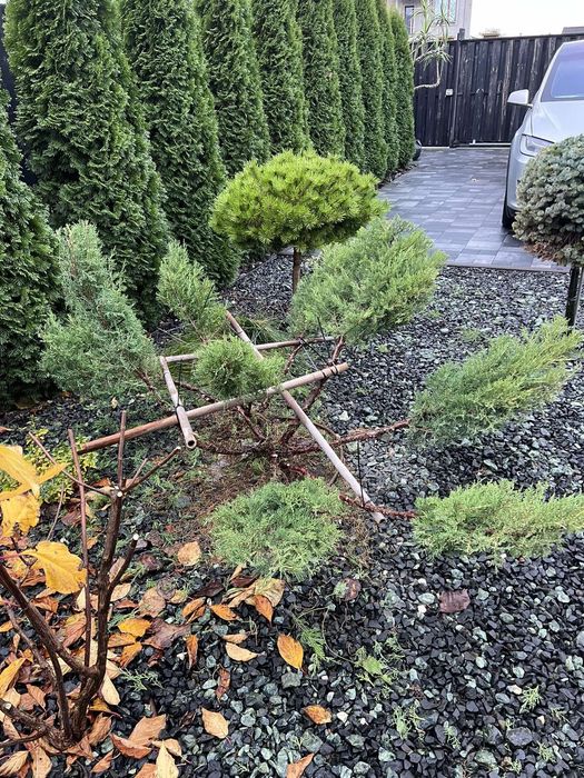 Виконую садові послуги, планування під газон,покос газона,скарифікація