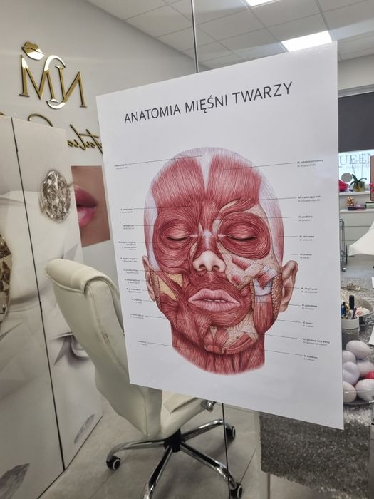 Szkolenia powirkszsnie ust, btx efekt