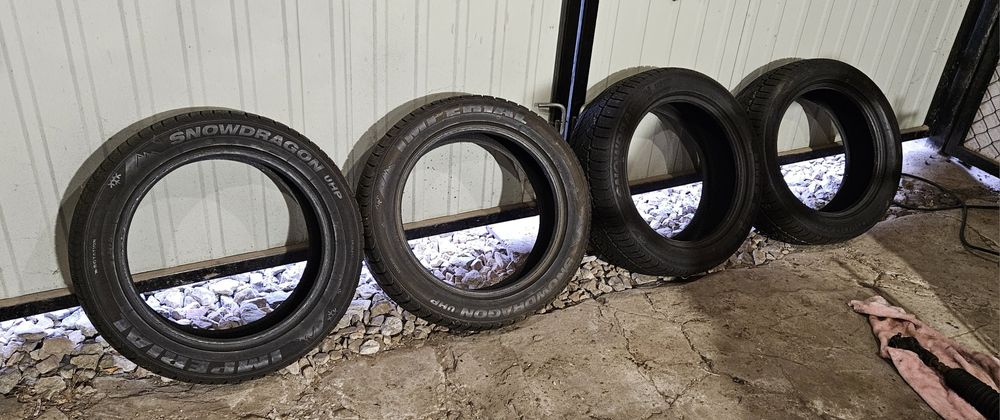 Opony zimowe Imperial 225/50 R17