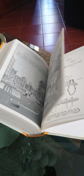 Dicionário Galego-Portugues