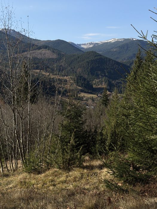 Земельна ділянка в Дземброні