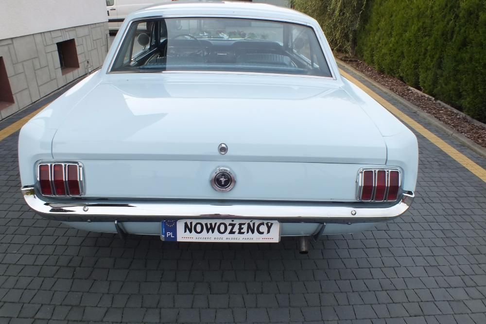 Auto Do Ślubu Wesele Przyjęcie Rocznica Ford Mustang