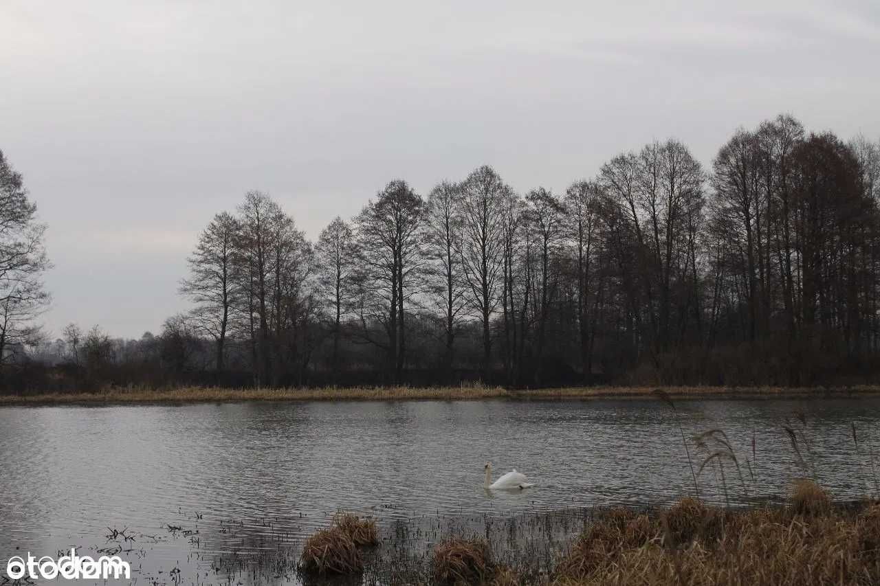 Działka budowlana,bezpośrednio,Arciechów,ul.Bielika,1120m2,140.700 zł