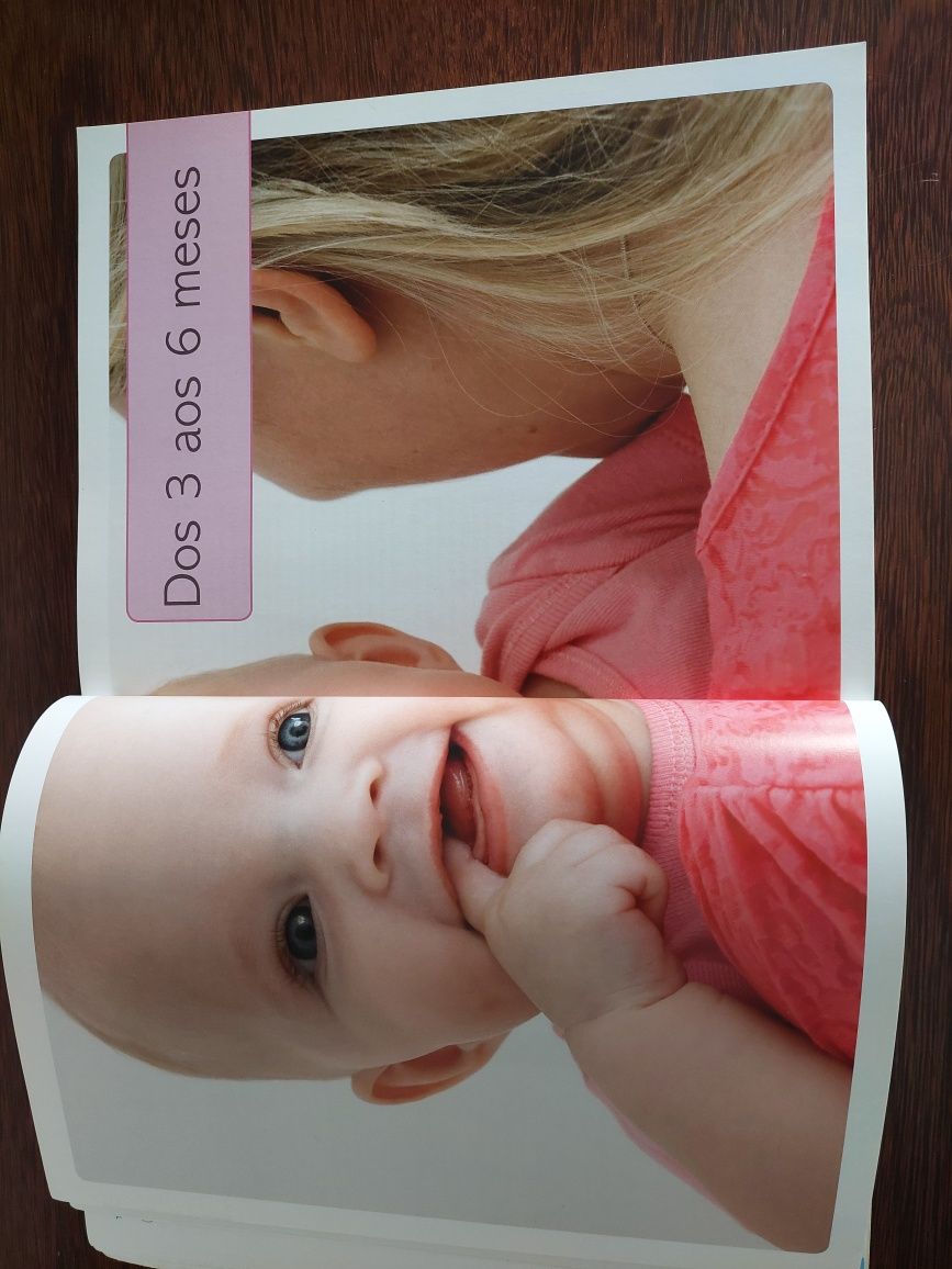 Livro "O Desenvolvimento do bebé "