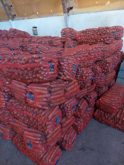 Продам моркву  .