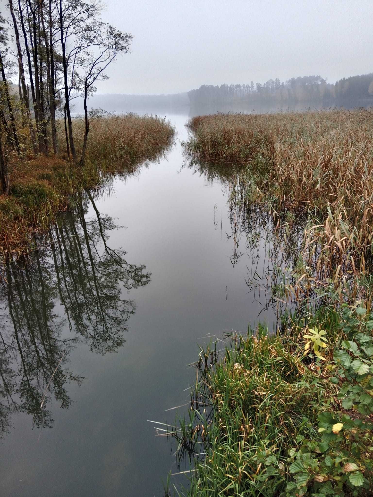 Noclegi - Pokoje Nowe Miasto Lubawskie