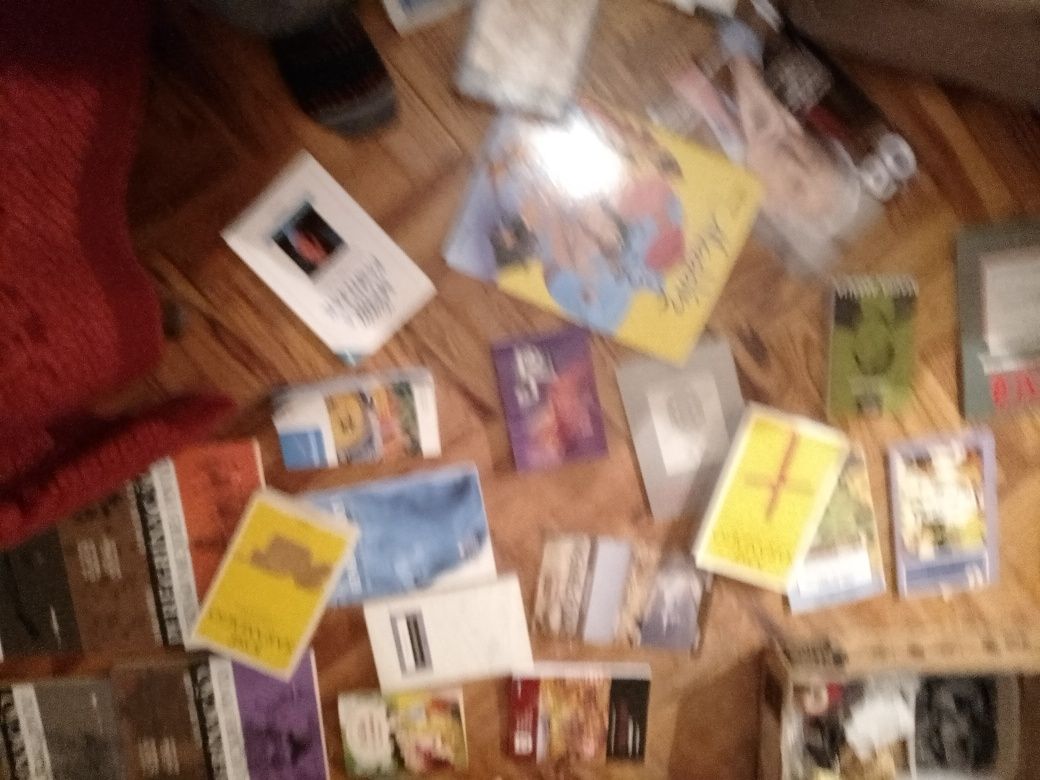 Grandes Saldos Saramago/outros raros/BD juvenil e muitos mais Desde 2E