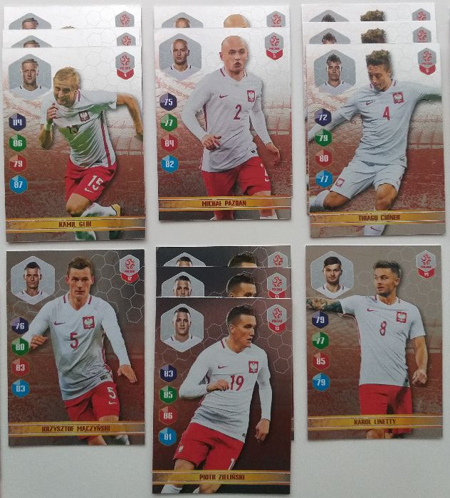 Karty Dumni z Naszych Biedronka