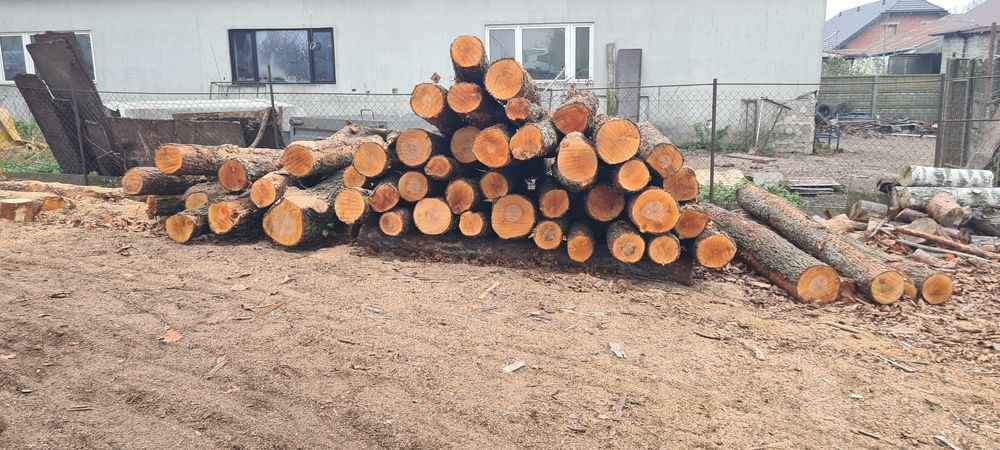 Drewno kominkowe opałowe