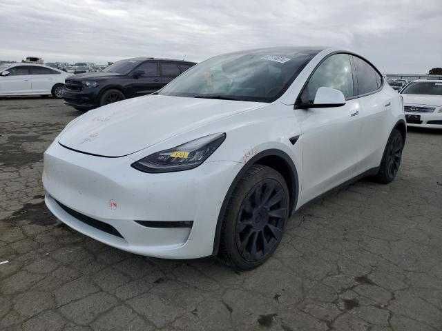 Tesla  Model Y 2021