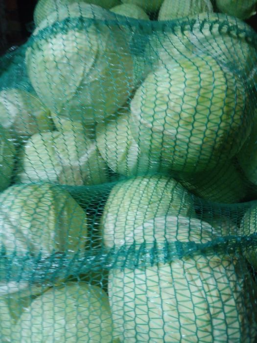 Kapusta marchew ziemniaki