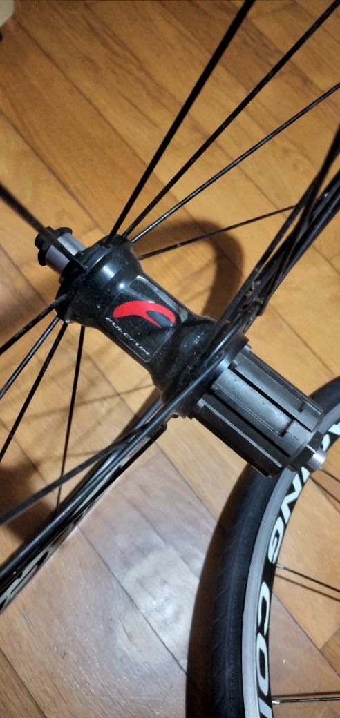 Rodas fulcrum comp