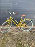 Rower polka bikes