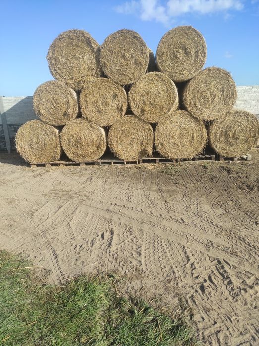 Słoma bele 120*120,transport