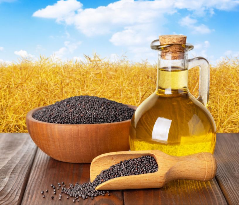 Олія ріпакова, лляна, соєва. Макуха, шрот.