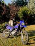 Yamaha DT80/50 AM motorower zarejestrowany na 50