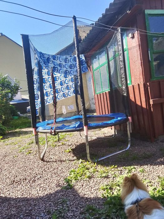 Батут новий самовивіз