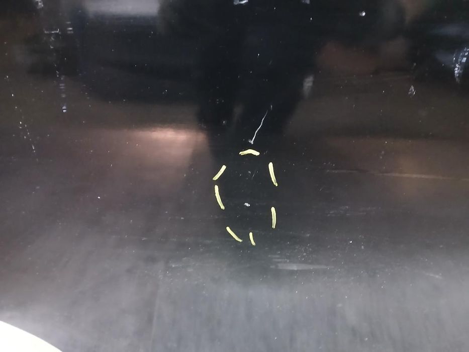 Porta trás direita FIAT Bravo II (198_)