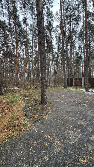 Земля. Участок 10 соток, все центральные коммуникации и газ.