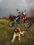 Продам Loncin LX-250-