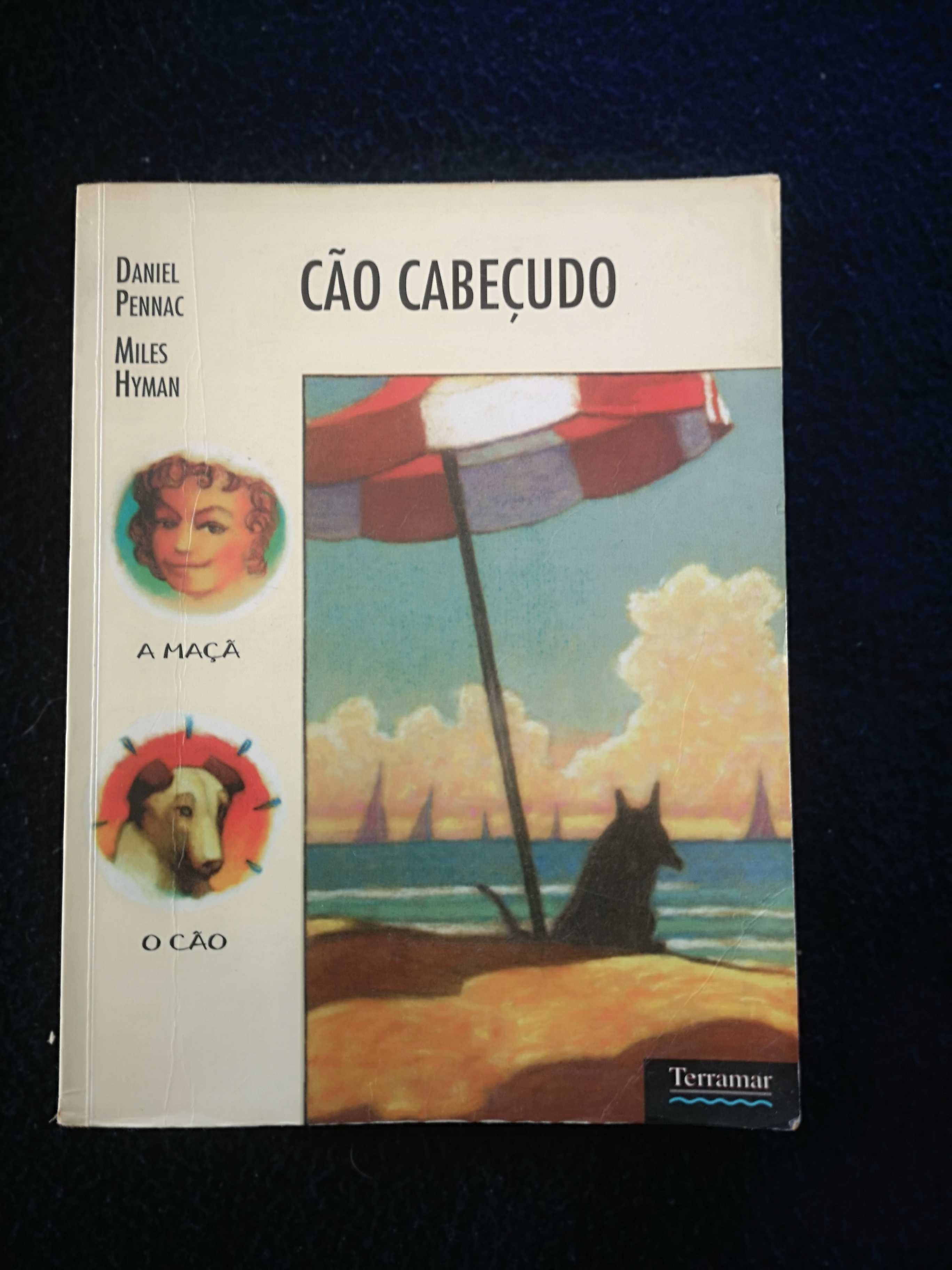 Diversos Livros (Individual ou Lote)