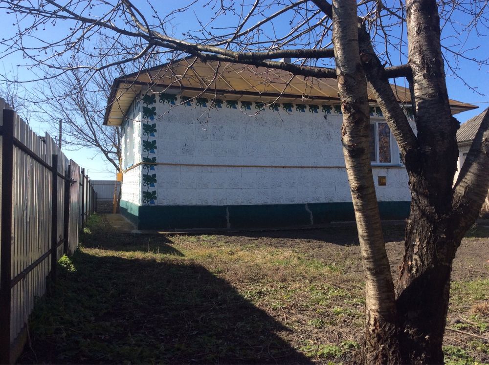 Продам будинок в селі Андріївка біля Кам‘янець Подільського