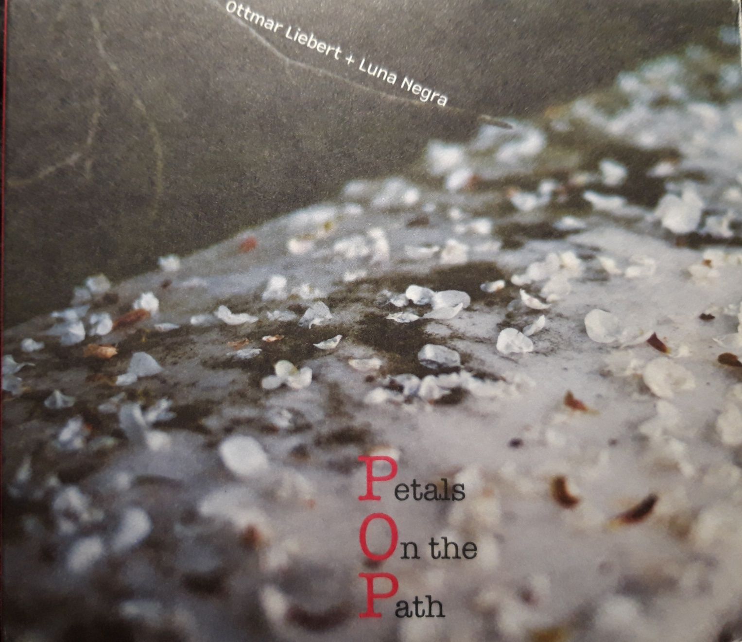 Ottmar Liebert + Luna Negra – Petals On The Path (CD, 2010)