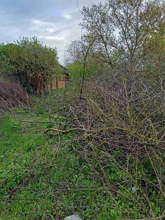 Оренда гілкоруба, подрібнення гілок, послуги гілкоруба,.