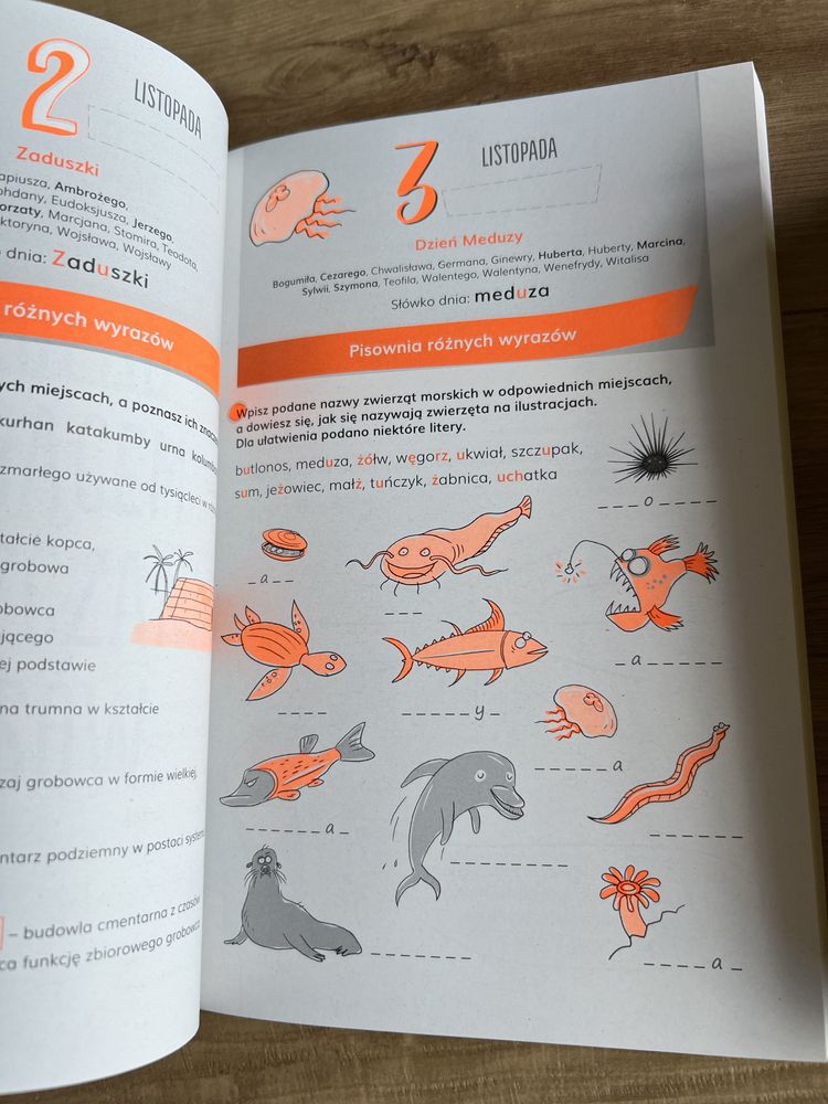 Kalendarz ortograficzny na poprawę humoru plus słownik