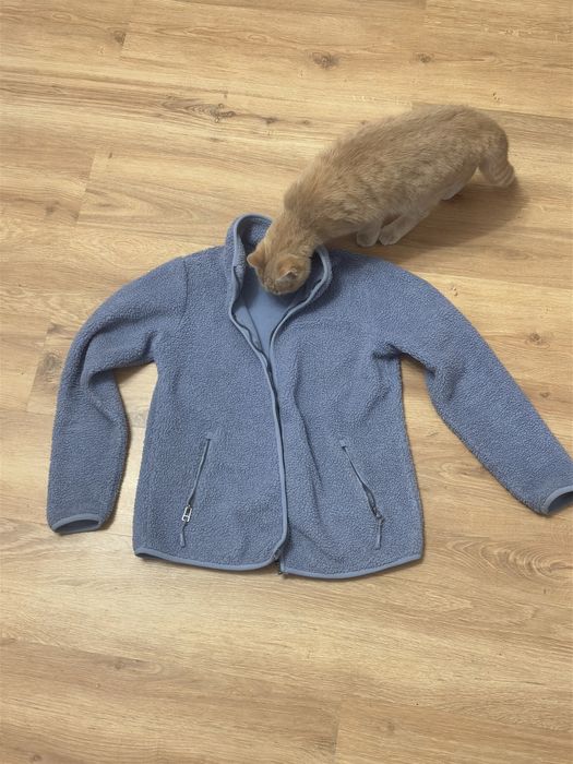 Худі світшот кофта тедді