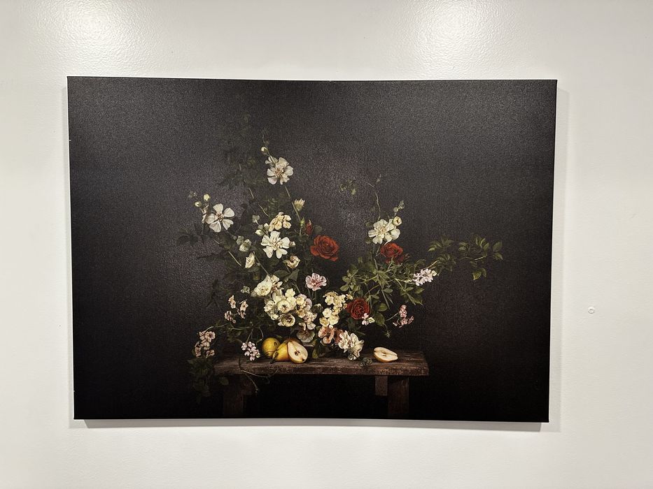 Quadros IKEA menos de 1 ano de uso