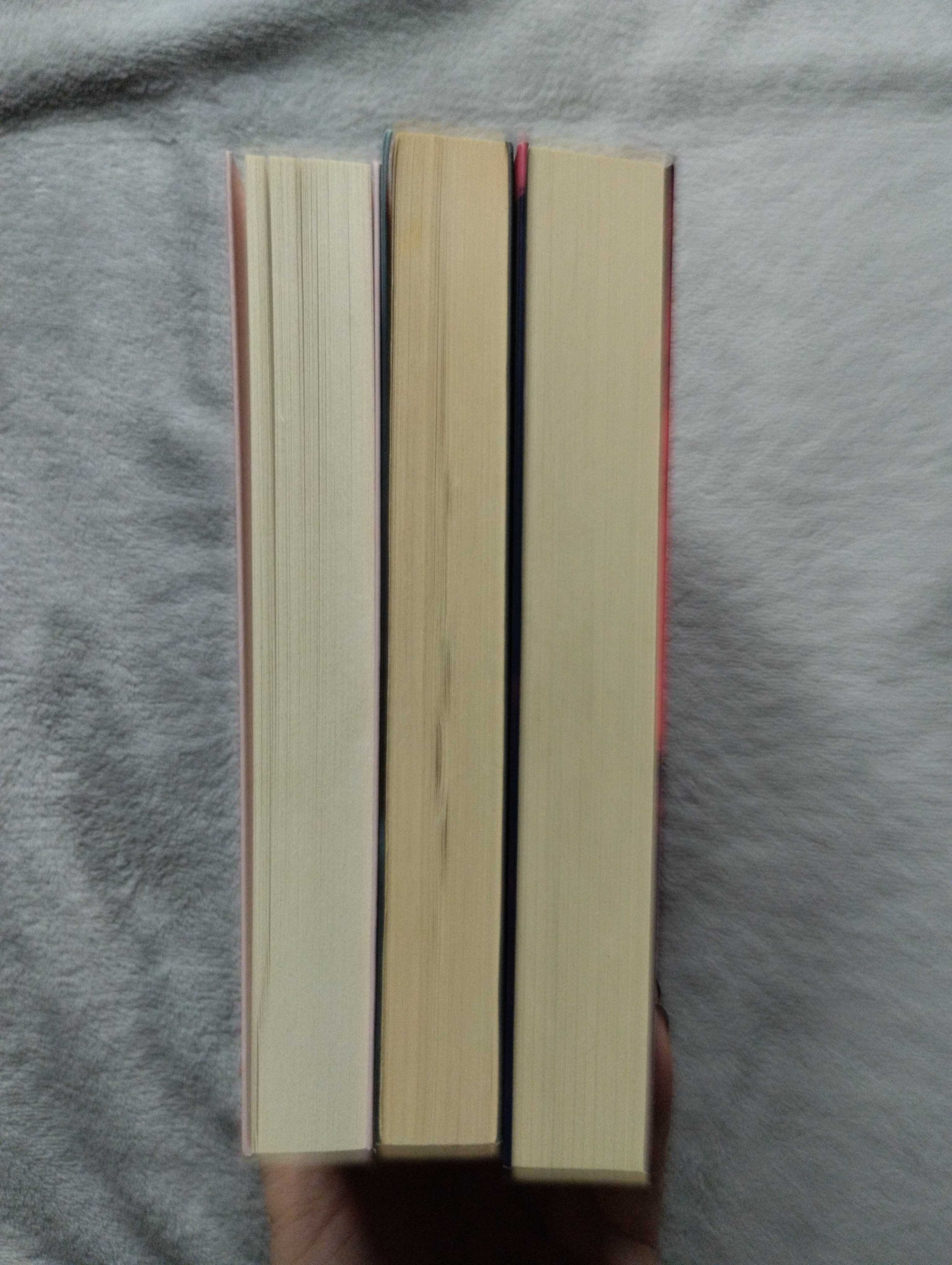 Colleen Hoover,  ugly love, too late, slammed