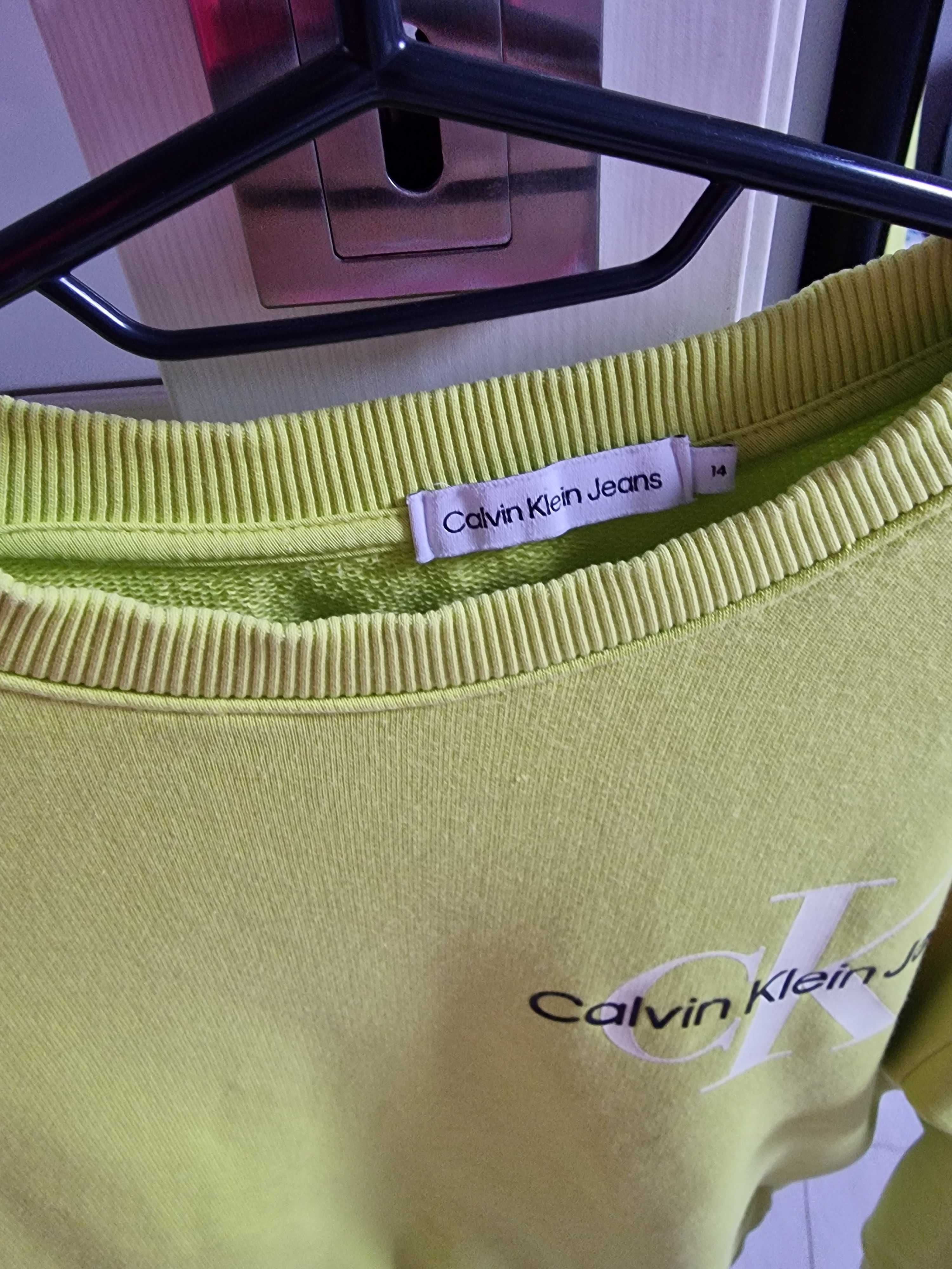 Bluza chlopieca firmy Kalvin Clein