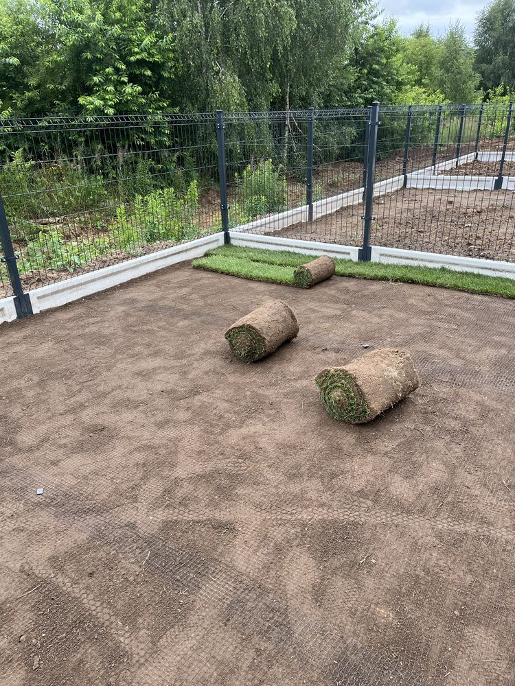 Trawa w rolce trawa z rolki 40m2 z dostawą pod sam dom